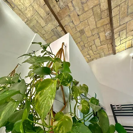 Quarto em Acomodações Particulares Deluxeloft Privatebath Hammam *