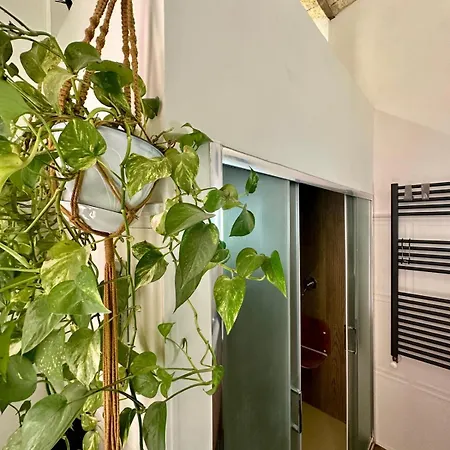 Deluxeloft Privatebath Hammam Quarto em Acomodações Particulares